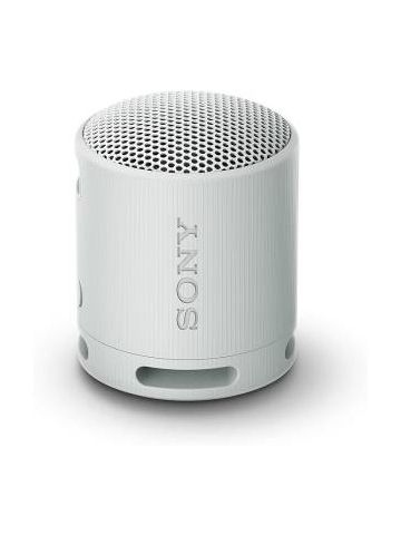 Sony SRS-XB100 Speaker Wireless Bluetooth Grigio